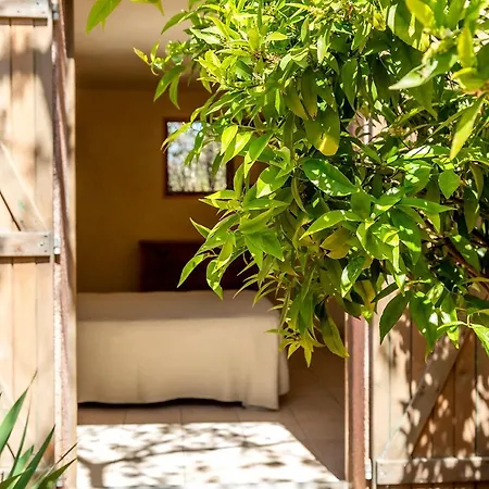 Les Toits De Santa Giulia 4* Porto-Vecchio (Corsica)