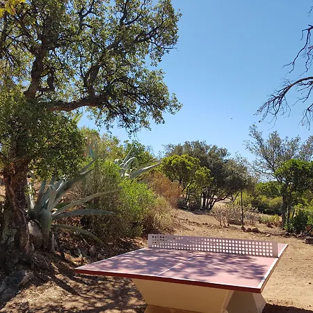 Les Toits De Santa Giulia