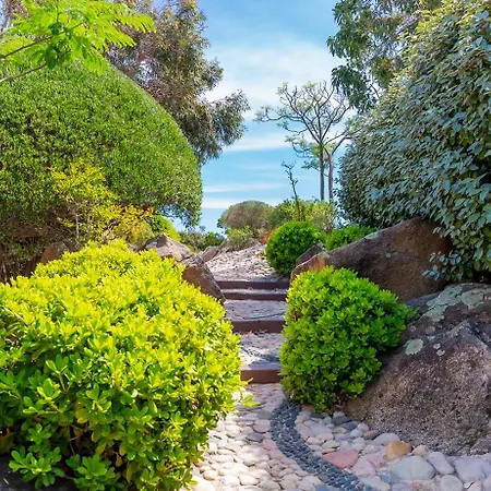 Les Toits De Santa Giulia 别墅