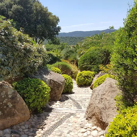 Les Toits De Santa Giulia *