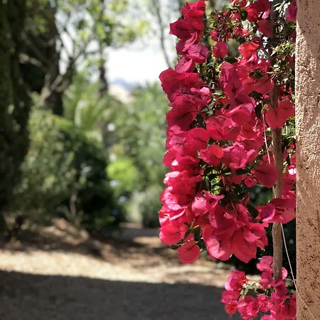 Les Toits De Santa Giulia 别墅