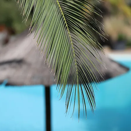 Les Toits De Santa Giulia