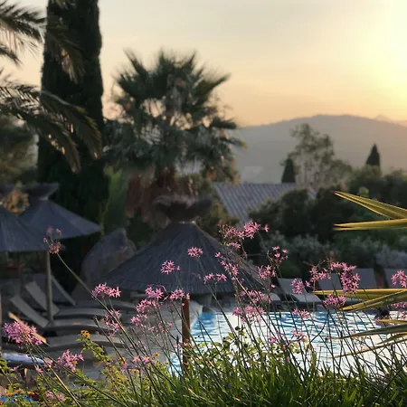 Les Toits De Santa Giulia 别墅 维琪奥港