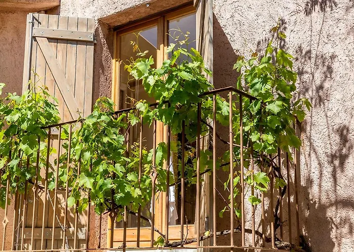 Résidence Les Toits De Santa Giulia