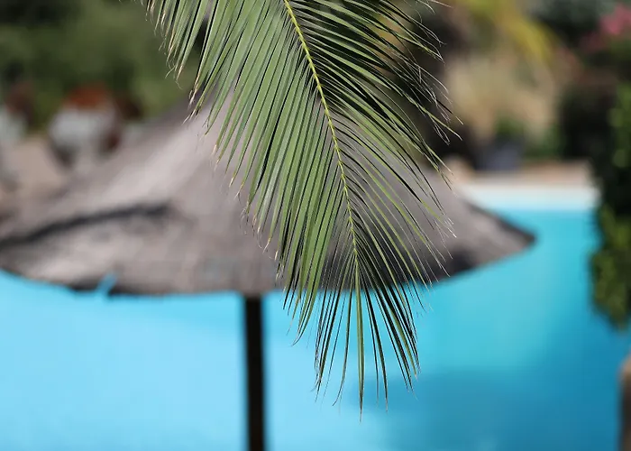 Résidence Les Toits De Santa Giulia